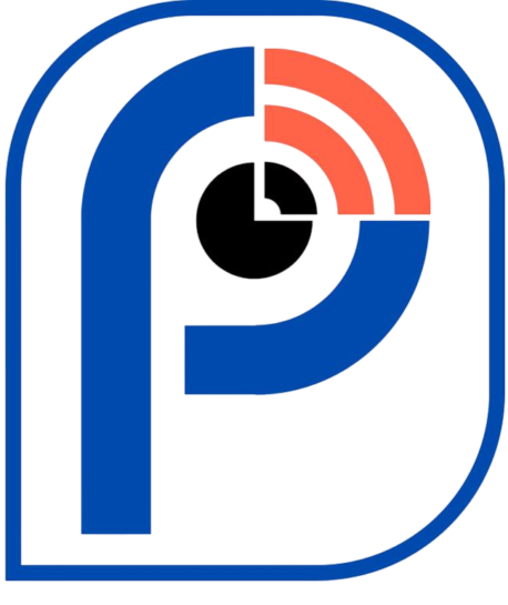 Perito Networks Logo